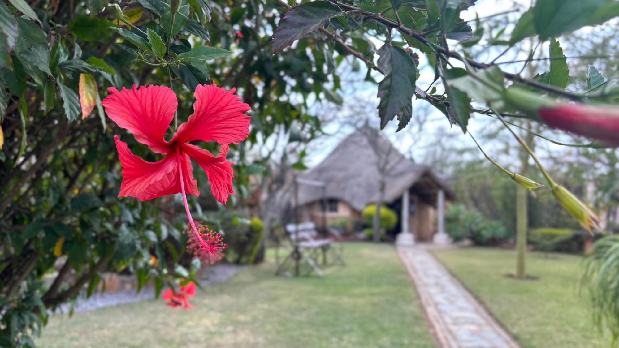 Lynns Guest House Bulawayo Exterior photo
